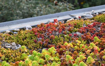 the cost of Penrallt green roof installation