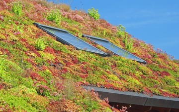 Penrallt living roof systems