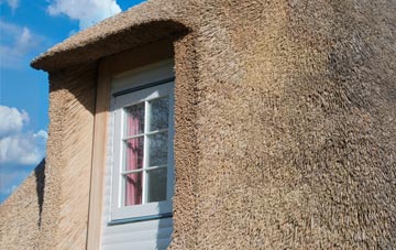 Penrallt thatch roof disadvantages