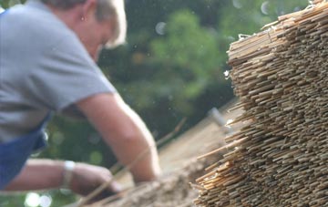 professional Penrallt thatchers