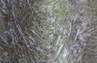 Penrallt fibreglass roof work